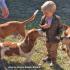 Three Creek Bassets